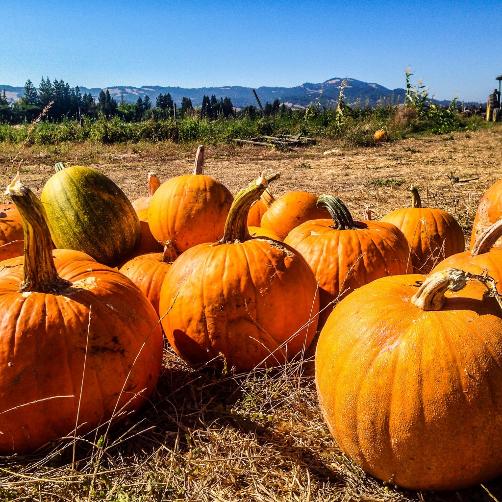 Pumpkins